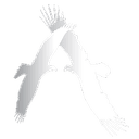 Aniwa